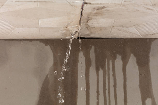 Professional Burst Pipe Cleanup technician working in Kersey, CO